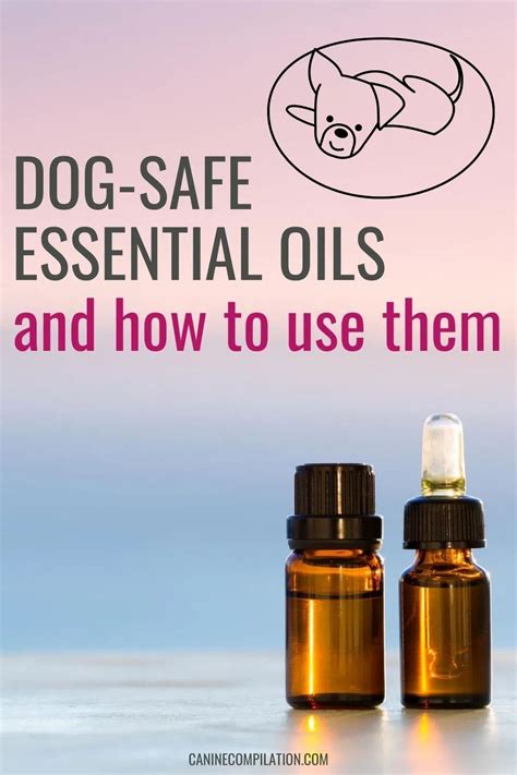 Essential Oils For Dogs Canine Compilation Dog Safe Essential Oils