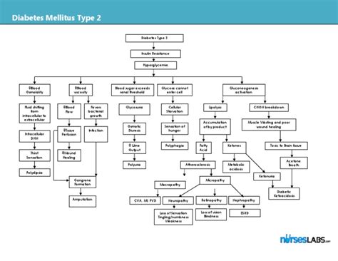 Diabetes mellitus (dm) is a major public health challenge. Diabetes Mellitus Type 2 Schematic Diagram