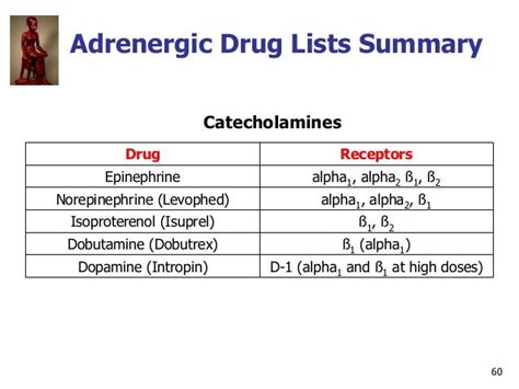 Ivms Ans Pharmacology Adrenergic Drugs