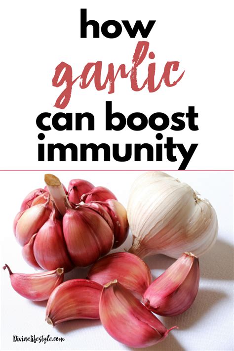 How To Use Garlic To Boost Immune System Health Wellness Boost Immune