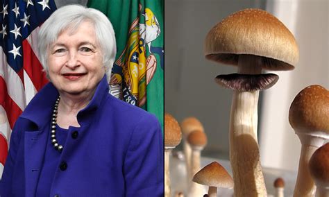 Treasury Secretary Yellen Says Magic Mushrooms She Ate In China Were
