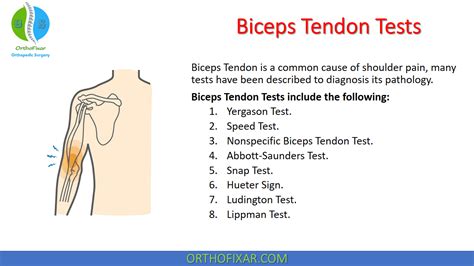 What Are Biceps Tendon Injuries Midwest Orthopedic Co
