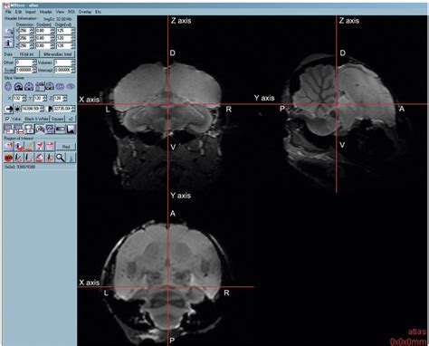 Figure 1 From A Three Dimensional Mri Atlas Of The Zebra Finch Brain In