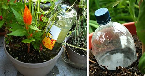 Put the other end of the rope around the base of your plant and cover it with some soil. 5 Nifty Ways to Water your Plants and Garden While you are ...