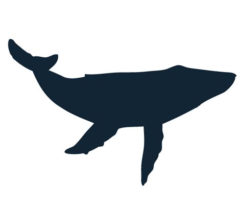Blue Whale Silhouette At Getdrawings Free Download