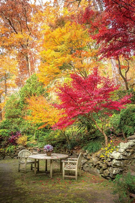 The company provides a broad range of merchandise. The South's Best Fall Colors - Southern Living