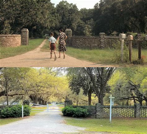 Forrest Gump Filming Locations In South Carolinas Lowcountry Filming