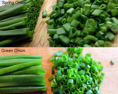 They are mainly snipped raw and added to dishes to give the dish an oniony flavor without having to add onion pieces to it. Spring Onion vs Green Onion | thosefoods.com