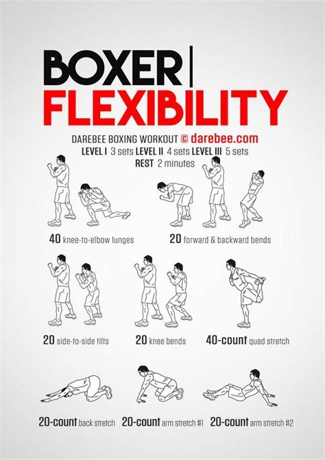 Boxer Flexibility Workout Boxing Training Workout Flexibility