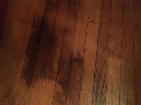 Black Spots On Hardwood Floor Home Alqu