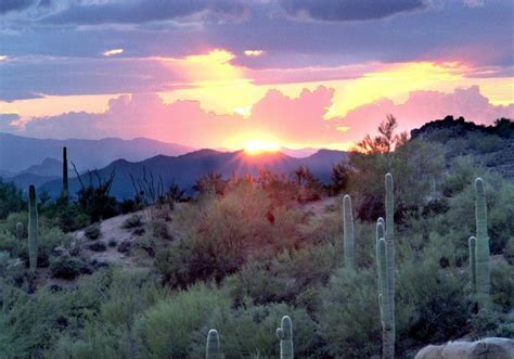 Gorgeous Desert Sunset