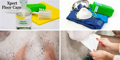 How To Clean Mouse Droppings From Carpet And Disinfect Safely Diy