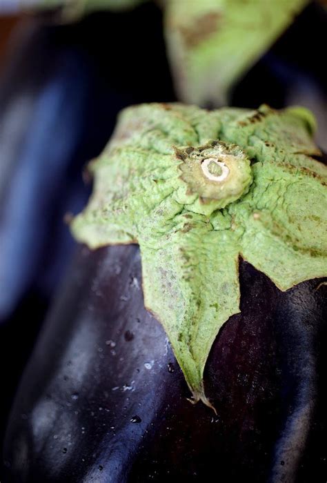 Eggplant Supply Down Because Of Triple Location Freeze