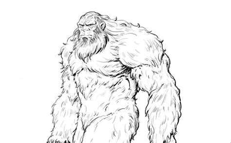 How To Draw Bigfoot Learn To Draw A Sasquatch In 7 Easy Steps