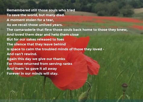 Remembrance Poems In Full That Honour The Fallen