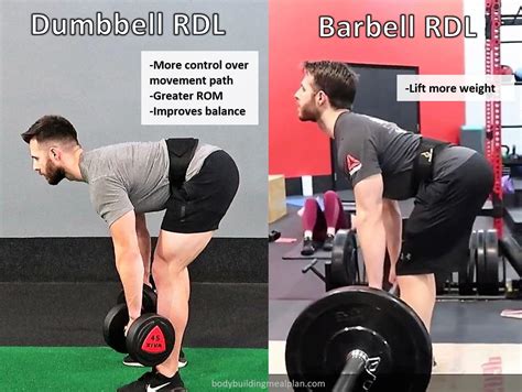 Top 3 Dumbbell Romanian Deadlift Variations For Hamstrings And Glutes