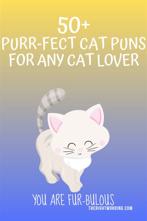50 Hiss Terically Purr Fect Cat Puns For Any Cat Lover