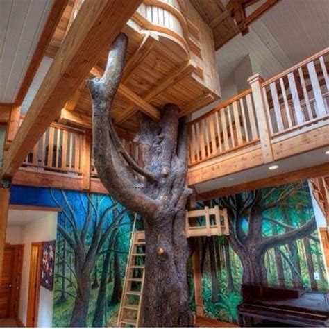 Tree House Indoors Indoor Tree House Cool Tree Houses Tree House