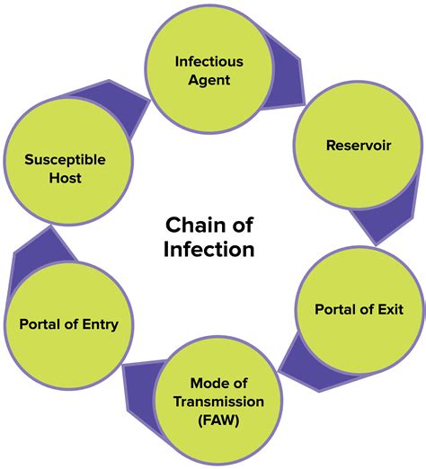 Mapeh 8 Health 3rd Quarter Chain Of Infection Communicable Disease