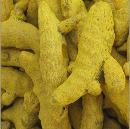 Turmeric Finger At Best Price In Erode By Nethish Exports Imports