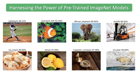 Image Classification Using Pre Trained Imagenet Models In Tensorflow