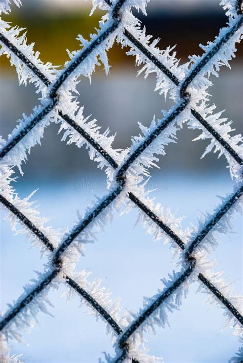 Fence Frost Winter Abstract Ice Nature Science Stock Image Image Of