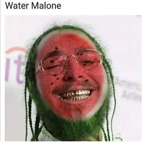 Funniest Post Malone Memes To Grace The Internet