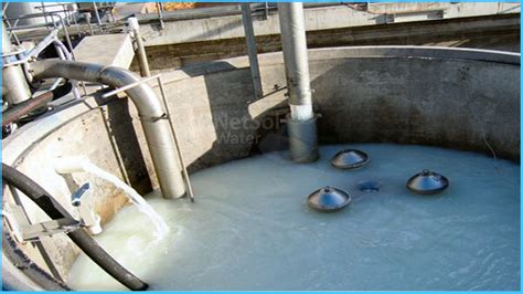Dairy Industry Wastewater Review Which Is Waste Of Dairy Industry