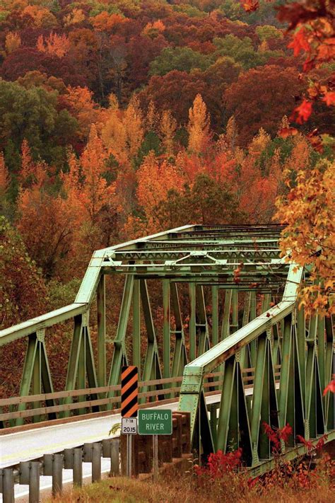 Fall Foliage Enchanting In Arkansas