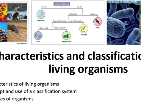 Igcse Biology Topic 1 Characteristics And Classification Of Living Organisms Teaching Resources