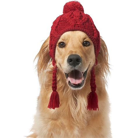 The Cutest Winter Dog Hats