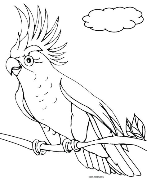 Parrot Coloring Pages At Free Printable Colorings