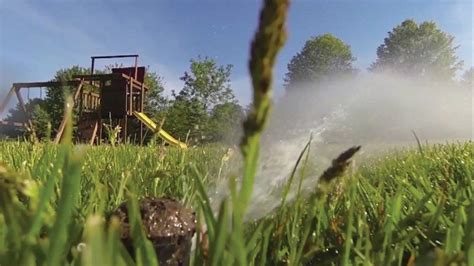 How often should you water your lawn in hot weather? How Often Should You Water Your Lawn? | Summer lawn, Lawn sprinklers, Lawn