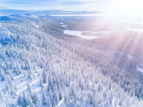 Aerial View Of A Winter Mountains With Snow Covered Forest In Finland