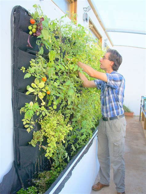 A Man Standing Next To A Wall Filled With Plants