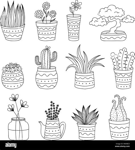 Introducir 104 Imagen Dibujos De Plantas Para Colorear Viaterramx