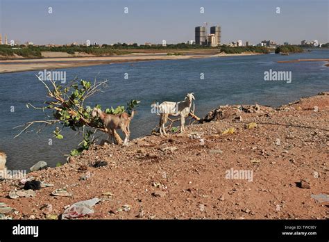 Confluence Of The White Nile And Blue Nile Rivers In Khartoum Sudan