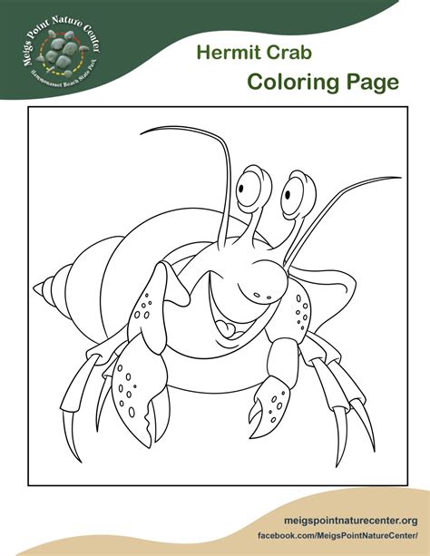 Printable hermit crab coloring pages. Hermit Crab Coloring Page - Meigs Point Nature Center
