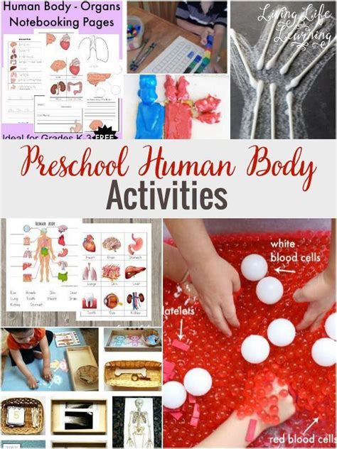 Arts And Crafts Videos Id1242711308 Human Body Activities Body