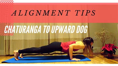 How To Do Chaturanga To Upward Dog Yoga Alignment Tips Youtube