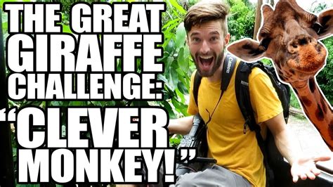 The Great Giraffe Challenge Clever Monkey Youtube