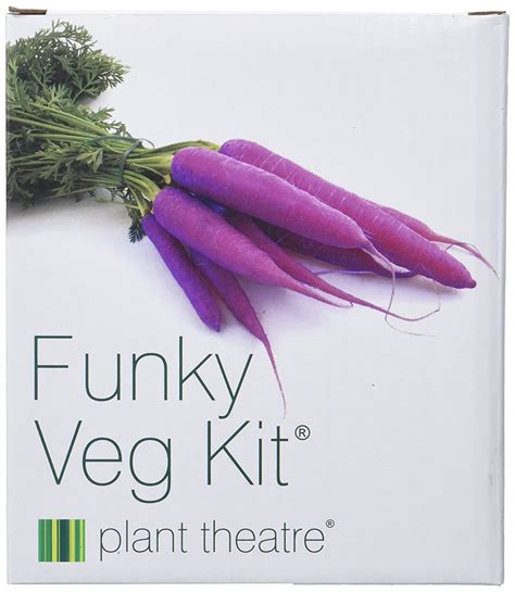 Vegetable Growing Kit Best Christmas Ts For Couples 2019