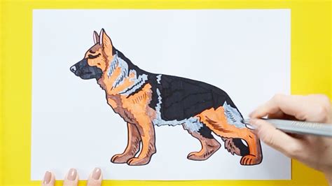 How To Draw A German Shepherd Dog Youtube