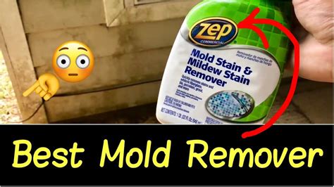 Mold removal from the walls starts by eliminating the main cause. Best Mold Remover👊 | How to Get Rid of Mold, Mildew, Black ...