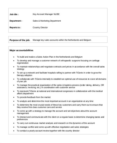 Sample Account Manager Job Description 7 Examples In Pdf