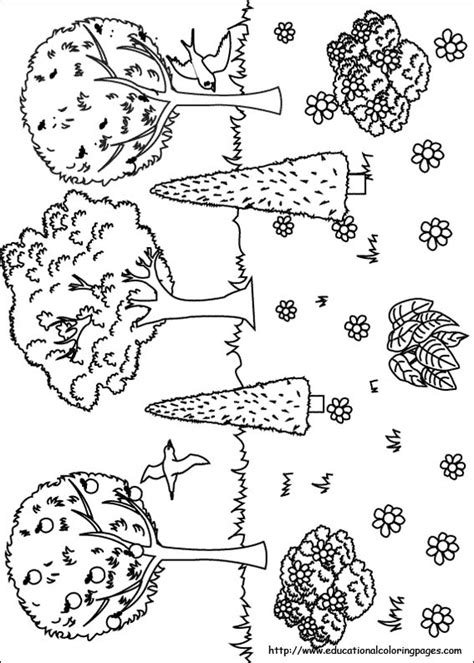 Nature Coloring Pages - Educational Fun Kids Coloring Pages and