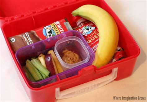 9 Easy Sandwich Free Lunch Box Ideas For Kids Where Imagination Grows