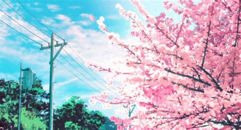 Check spelling or type a new query. Cherry Blossom Tree GIFs - Find & Share on GIPHY