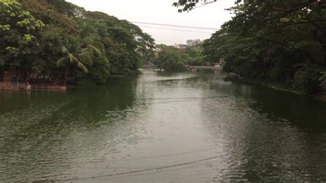 These are of course expensive and can find out other cheap hotels throughout the city. Beautiful Dhanmondi Lake. An urban wetland in Dhaka. - YouTube