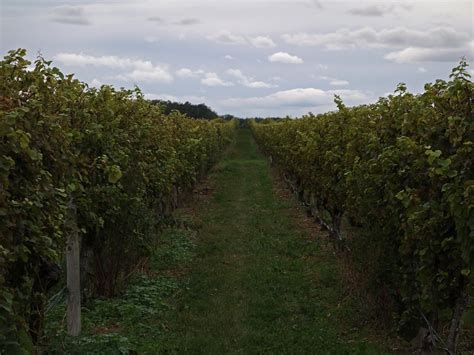 Pindar Vineyards North Fork Long Island Ny John212 Flickr